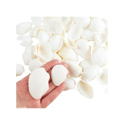 100 Floating White Seashells- White Coral Reef-Pearls-Aqua Sea Color Gels- Fills 1 Gallon for Your Vases- With Pre-Measured Prep Bag-Option of 3 Submersible Fairy Lights Strings